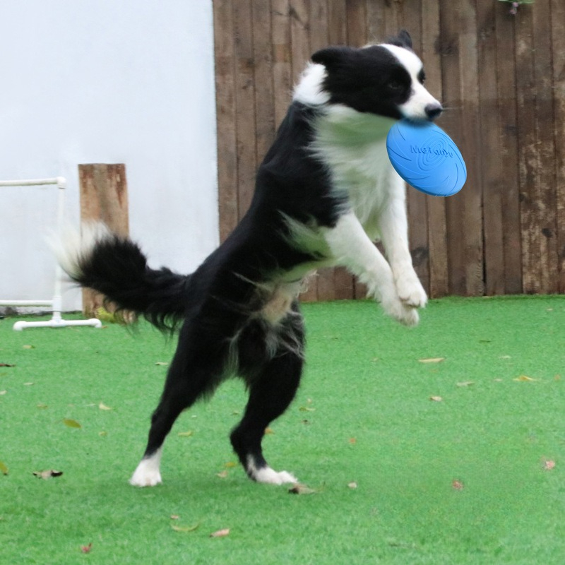 Frisbee Freestyle Disc - Frisbee para Cães, Frisbee Especial para