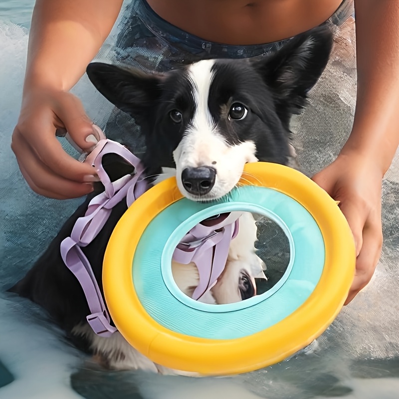 Frisbee Freestyle Disc - Frisbee Flutuante para Cães, Brinquedo Interativo