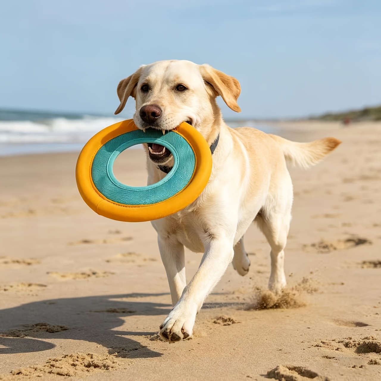 Frisbee Flutuante para Cães, B - Frisbee Freestyle Disc avaliação e preço