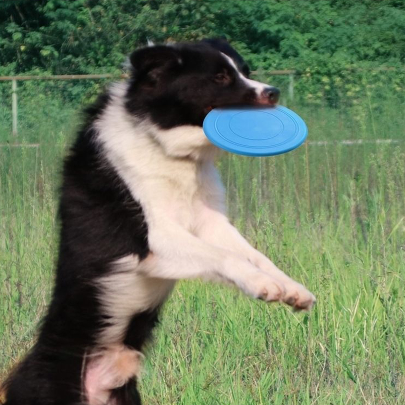 Frisbee de silicone divertido  - Frisbee Freestyle Disc avaliação e preço