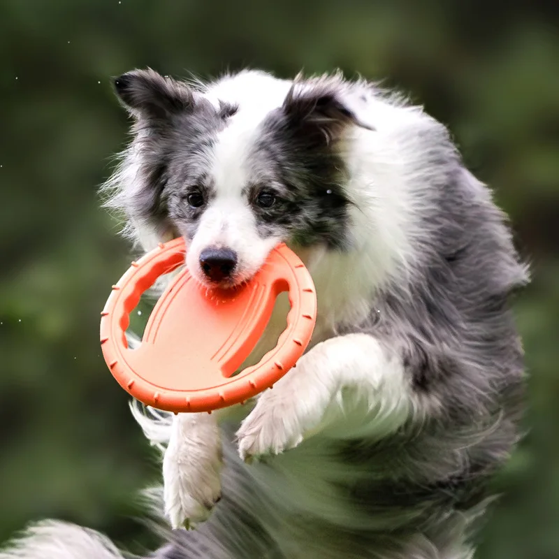 Brinquedo Durável para Cães: D - Frisbee Freestyle Disc avaliação e preço