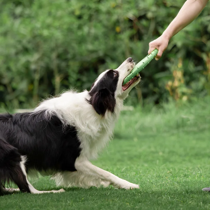Brinquedo Durável para Cães: D - Frisbee Freestyle Disc avaliação e preço
