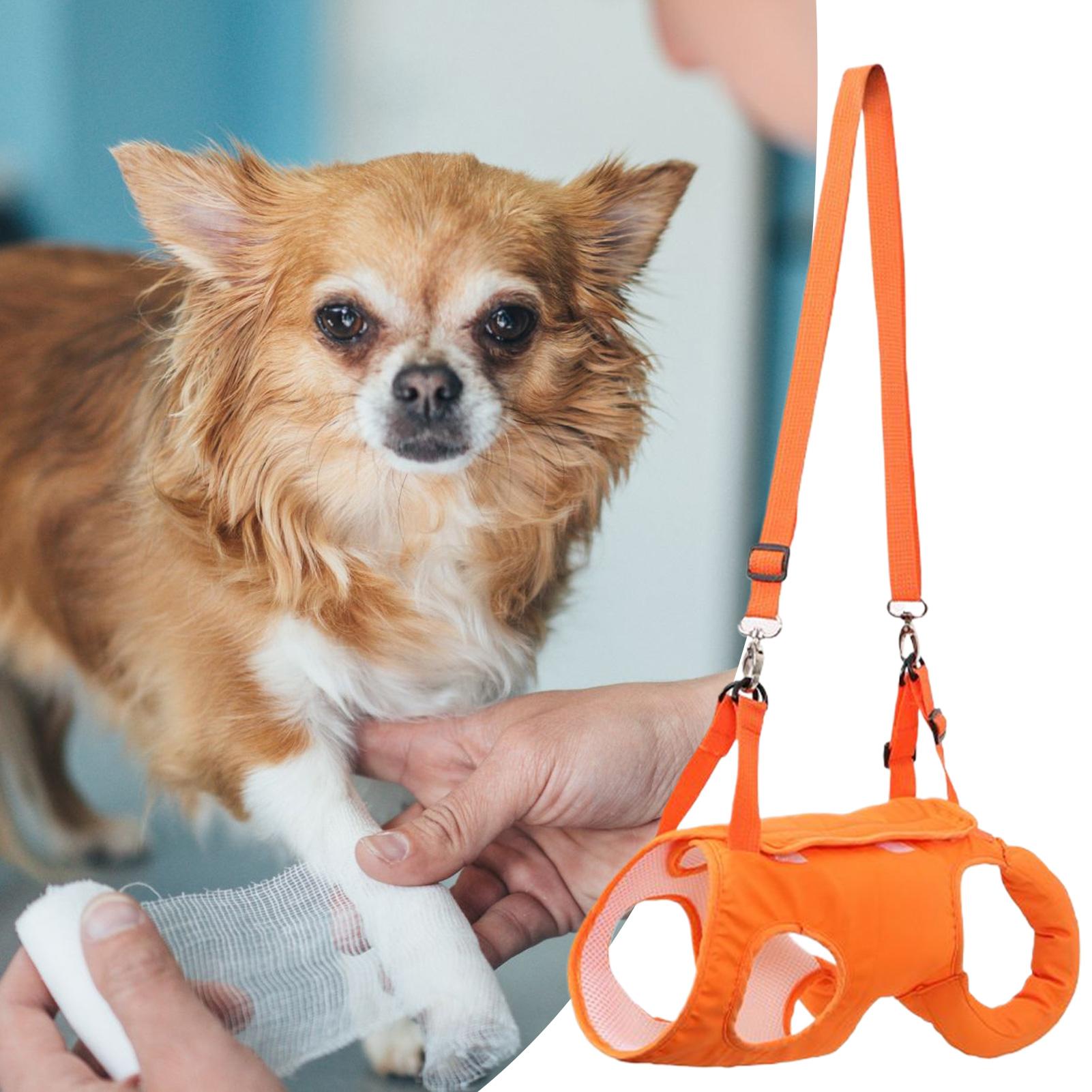Grande cão estilingue transpor - Ladder Toss Set avaliação e preço